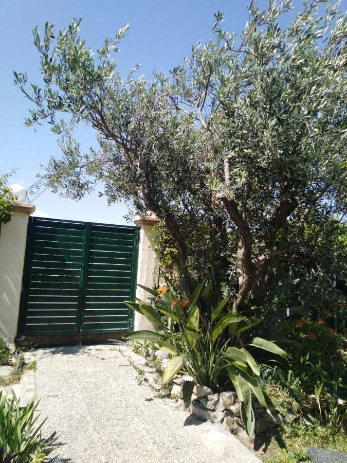 Vila Arhontiko Kastelorizia Afantou Exteriér fotografie